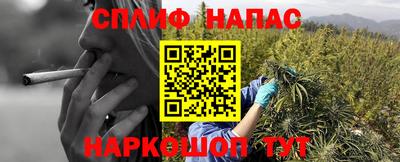 скорость Обь